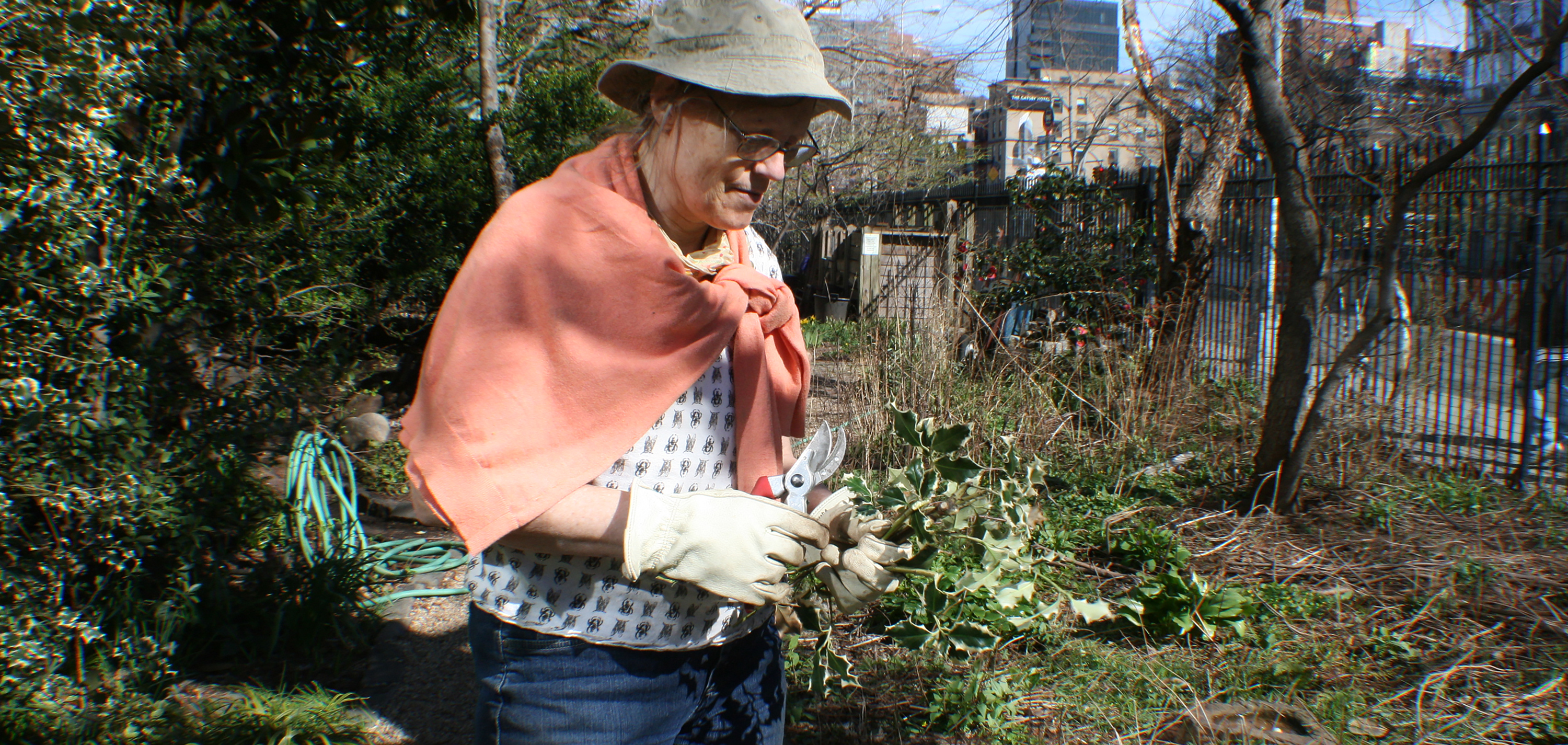 Volunteer working in the garden